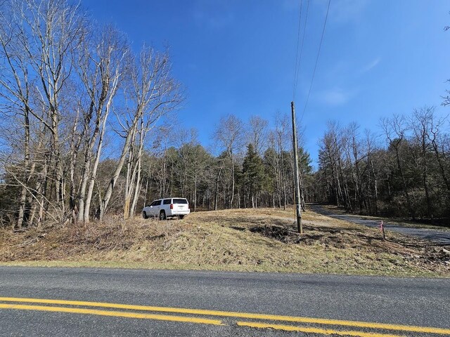 LOT1REVISED Berry Farm Rd, Staunton, VA 24401 - photo 8