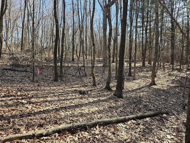 LOT1REVISED Berry Farm Rd, Staunton, VA 24401 - photo 3