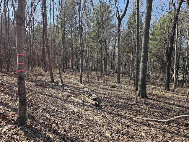 LOT1REVISED Berry Farm Rd, Staunton, VA 24401 - photo 12