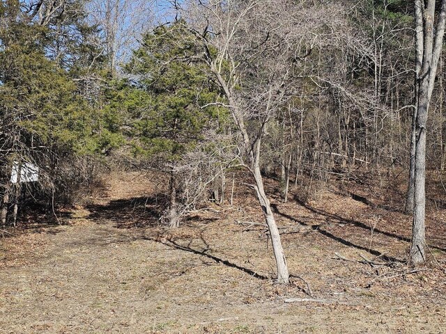 LOT1REVISED Berry Farm Rd, Staunton, VA 24401 - photo 9