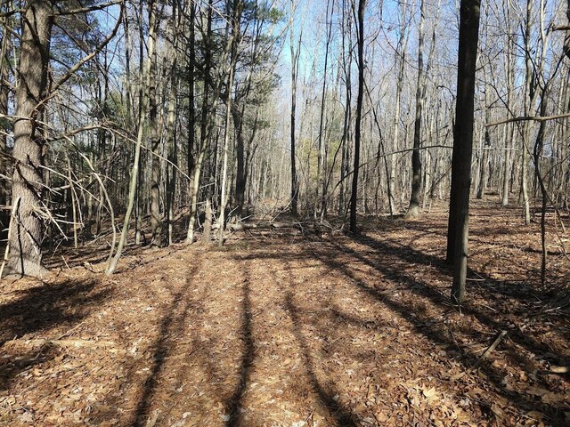 LOT1REVISED Berry Farm Rd, Staunton, VA 24401 - photo 10