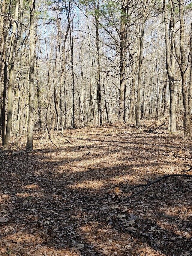 LOT1REVISED Berry Farm Rd, Staunton, VA 24401 - photo 11