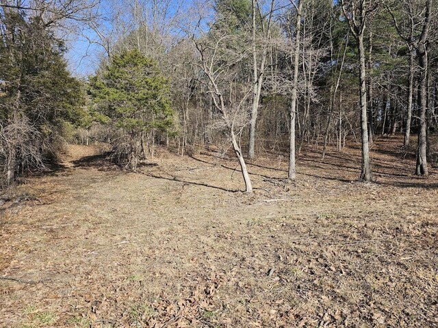 LOT1REVISED Berry Farm Rd, Staunton, VA 24401 - photo 4