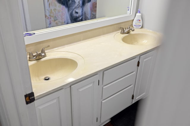 701 Horseshoe Cir, Stuarts Draft, VA 24477 - full bath with double vanity
