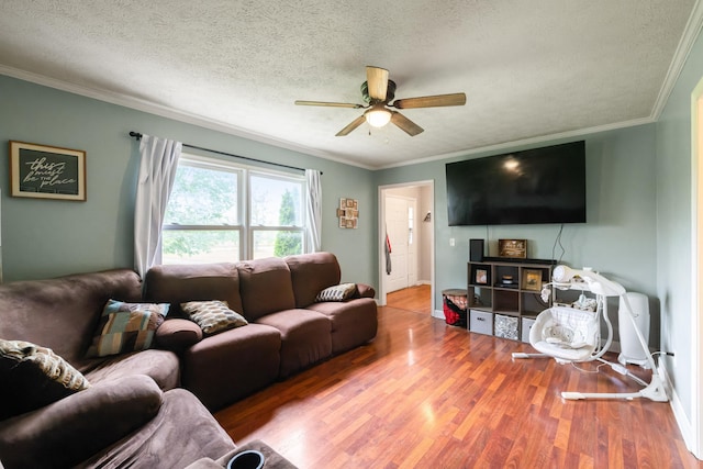 701 Horseshoe Cir, Stuarts Draft, VA 24477 - living area featuring a ceiling fan, wood finished floors, crown molding, and a textured ceiling