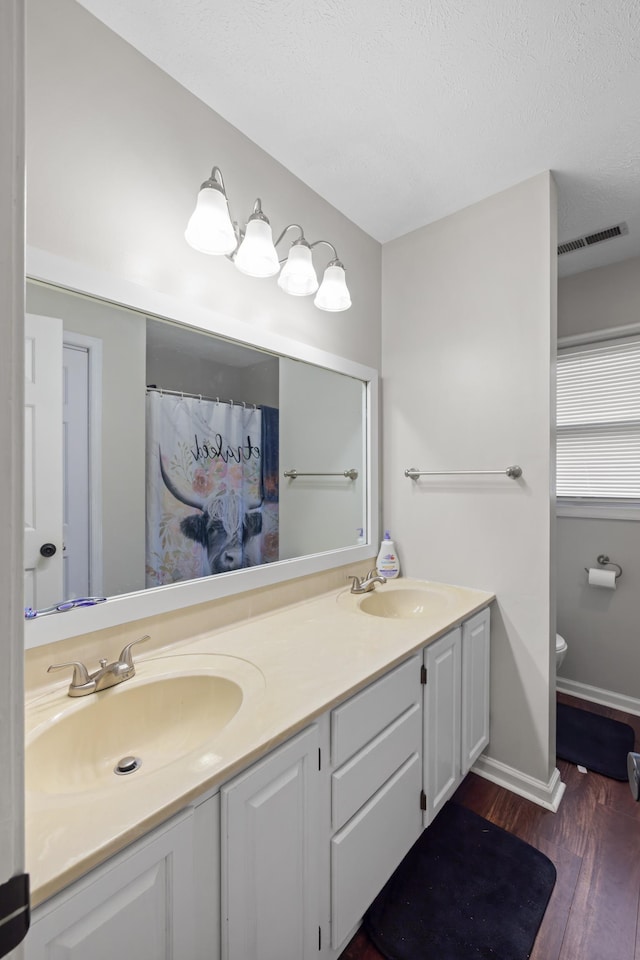 701 Horseshoe Cir, Stuarts Draft, VA 24477 - full bath featuring wood finished floors, double vanity, toilet, baseboards, and a textured ceiling