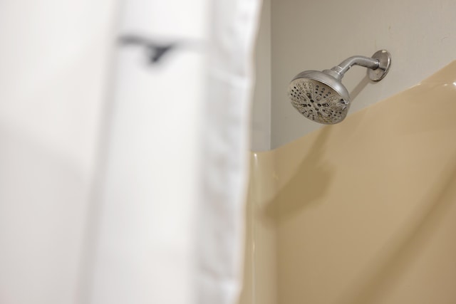 701 Horseshoe Cir, Stuarts Draft, VA 24477 - bathroom view of a shower