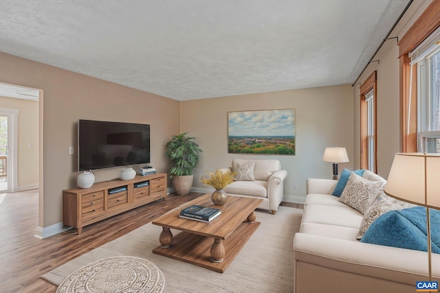 living room featuring wood finished floors, baseboards, and a textured ceiling