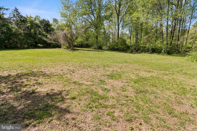 92 Aspen Hill Rd, Mineral, VA 23117 - view of green lawn