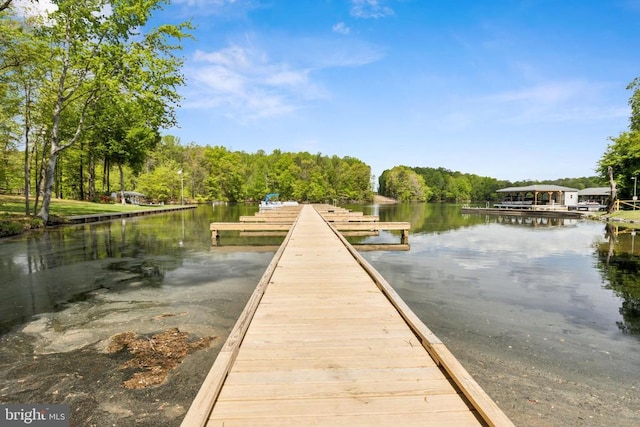 92 Aspen Hill Rd, Mineral, VA 23117 - dock area with a water view