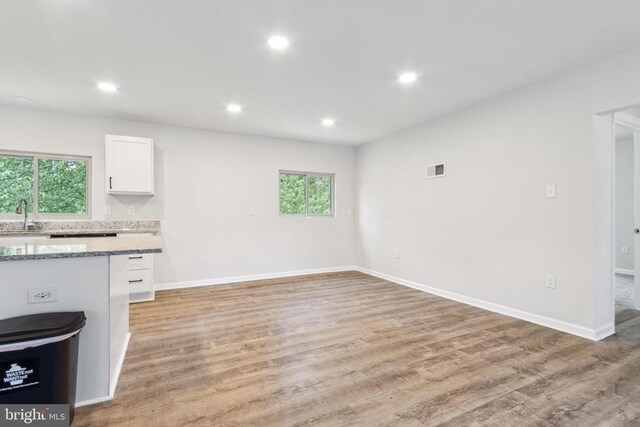 92 Aspen Hill Rd, Mineral, VA 23117 - unfurnished living room featuring plenty of natural light, light wood finished floors, a sink, recessed lighting, and baseboards