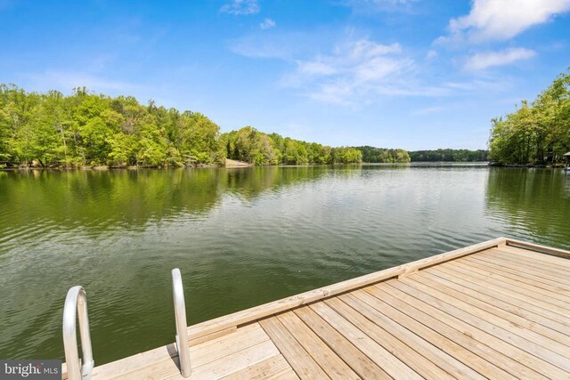 92 Aspen Hill Rd, Mineral, VA 23117 - dock area with a water view