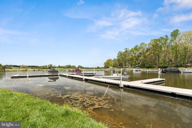 92 Aspen Hill Rd, Mineral, VA 23117 - dock with a water view