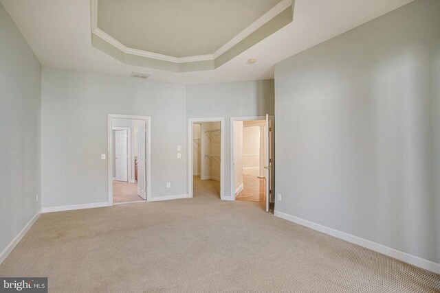 5409 Rich Mountain Way E, Fredericksburg, VA 22407 - unfurnished bedroom featuring a walk in closet, a raised ceiling, ornamental molding, light carpet, and baseboards