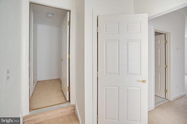 5409 Rich Mountain Way E, Fredericksburg, VA 22407 - hall with light carpet and baseboards