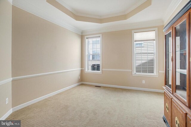 5409 Rich Mountain Way E, Fredericksburg, VA 22407 - empty room featuring a raised ceiling, light carpet, baseboards, and crown molding