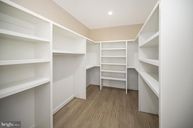 400 Constitution Blvd, Locust Grove, VA 22508 - walk in closet with wood finished floors