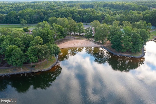 111 Independence St, Locust Grove, VA 22508 - aerial overview of property's location with a nearby body of water and a forest