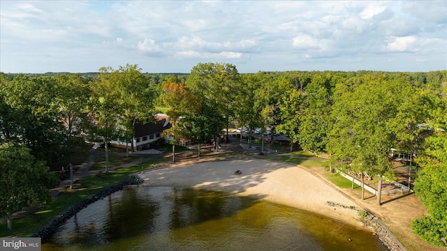 111 Independence St, Locust Grove, VA 22508 - drone / aerial view of a large body of water