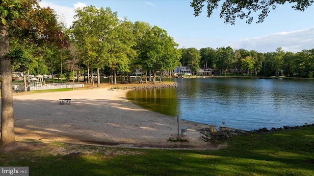 111 Independence St, Locust Grove, VA 22508 - water view