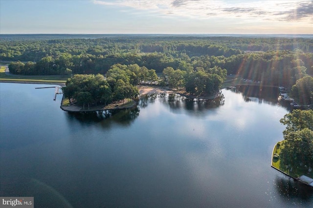 111 Independence St, Locust Grove, VA 22508 - aerial view of a forest and a large body of water
