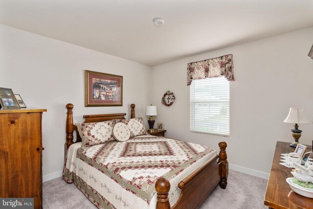 35079 Orchid Ln, Locust Grove, VA 22508 - bedroom featuring light carpet and baseboards