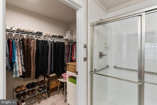 35079 Orchid Ln, Locust Grove, VA 22508 - bathroom featuring a shower stall and a spacious closet
