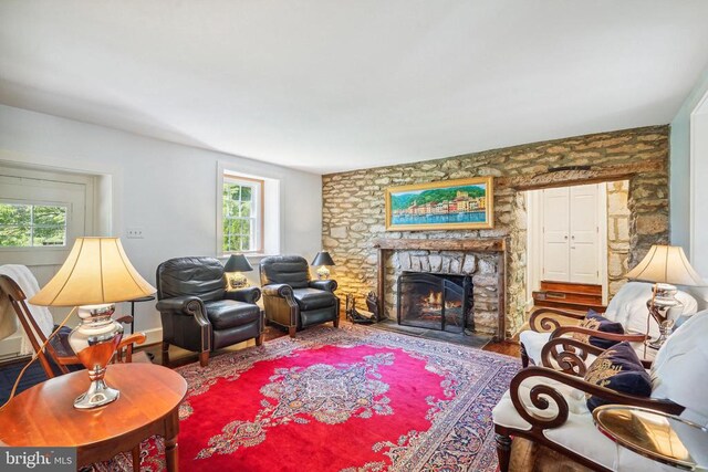 living area featuring a large fireplace and wood finished floors