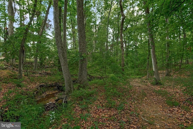 6607 Golden Pheasant Run, Fredericksburg, VA 22407 - view of wooded area
