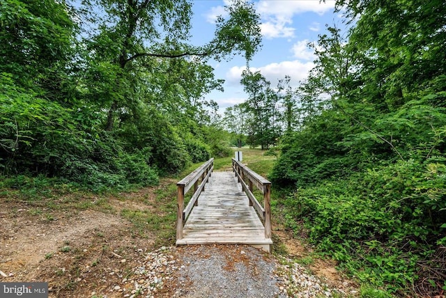 6607 Golden Pheasant Run, Fredericksburg, VA 22407 - view of community