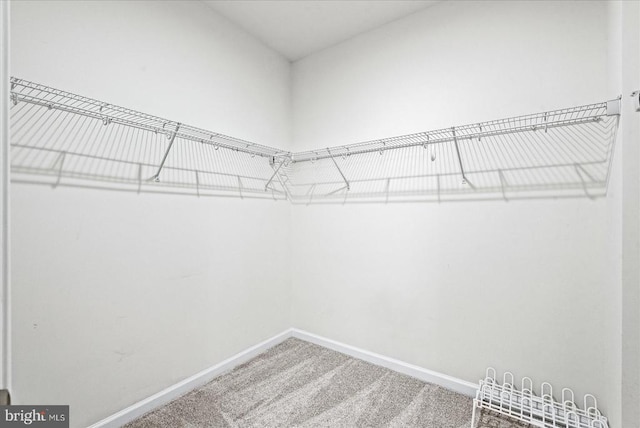 6607 Golden Pheasant Run, Fredericksburg, VA 22407 - spacious closet with carpet floors