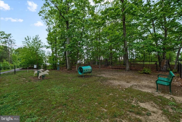 6607 Golden Pheasant Run, Fredericksburg, VA 22407 - view of yard with a dog friendly area and oil tank