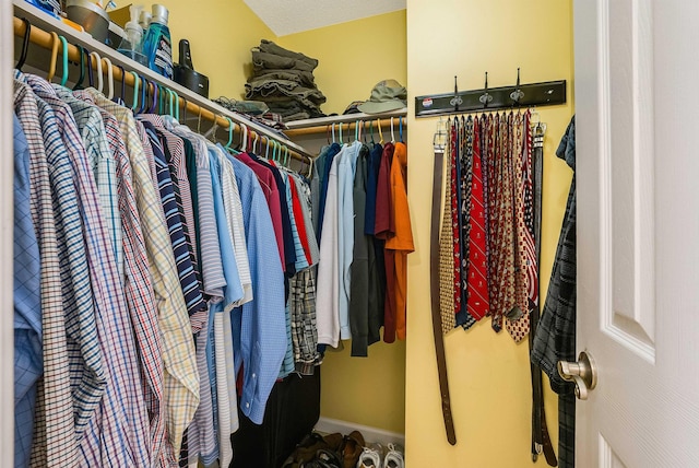 4056 Palmer Rd, Mcgaheysville, VA 22840 - view of spacious closet
