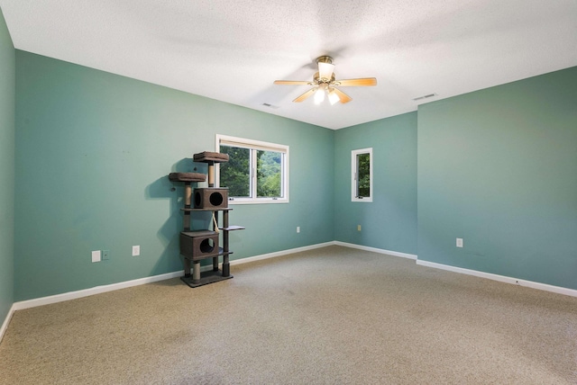 4056 Palmer Rd, Mcgaheysville, VA 22840 - carpeted spare room with a wood stove, ceiling fan, and a textured ceiling