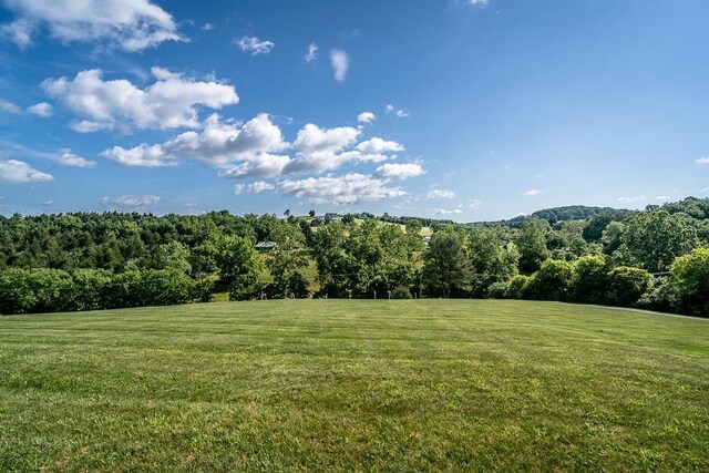 2178 Churchville Ave, Staunton, VA 24401 - photo 36