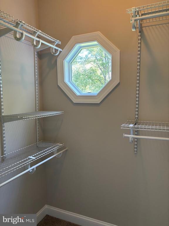 14525 Hazel River Church Rd, Culpeper, VA 22701 - photo 10