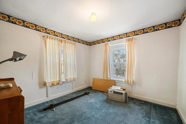 419 College Cir, Staunton, VA 24401 - spare room featuring carpet flooring and baseboards