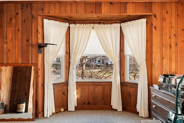 419 College Cir, Staunton, VA 24401 - detailed view of wooden walls and carpet
