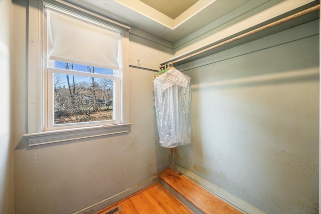 419 College Cir, Staunton, VA 24401 - spacious closet with wood finished floors