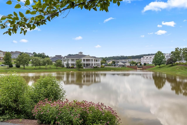 3241 Battery Park Pl, Rockingham, VA 22801 - photo 69