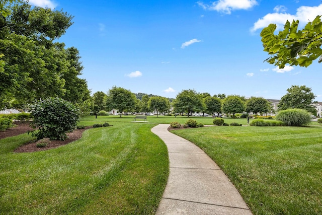 3241 Battery Park Pl, Rockingham, VA 22801 - photo 73