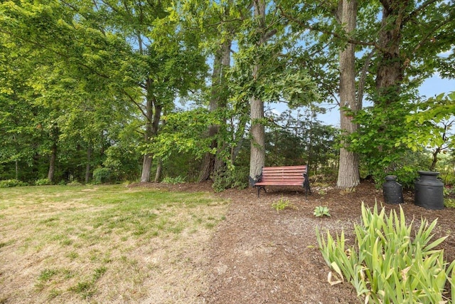 35 Hickory Nut Ln, Staunton, VA 24401 - view of green lawn