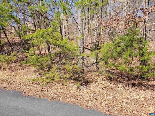 0 Merry Oaks Ln, Palmyra, VA 22963 - photo 3