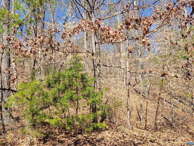 0 Merry Oaks Ln, Palmyra, VA 22963 - photo 4