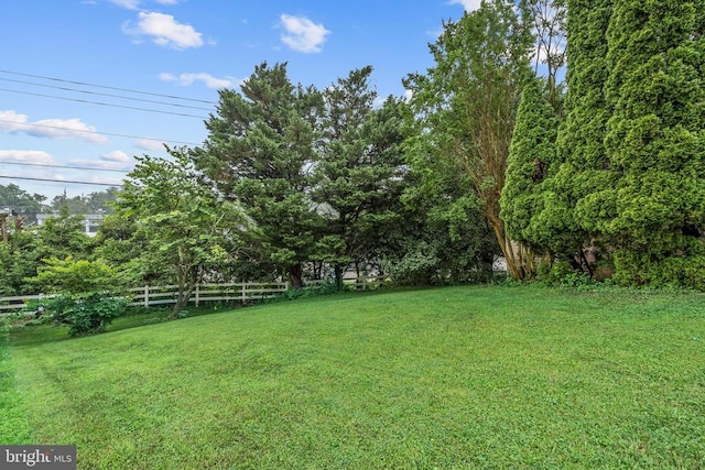  - view of yard