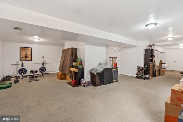  - finished below grade area featuring carpet