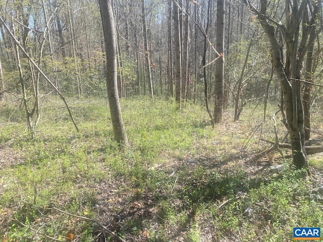 King Solomon Ln, Esmont, VA 22937