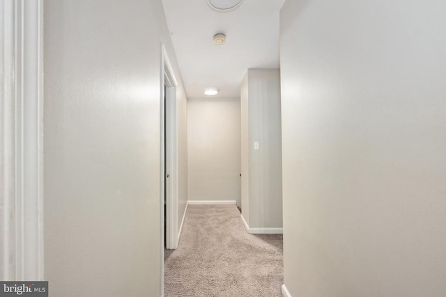 5122 Redbud Rd, Fredericksburg, VA 22407 - corridor featuring light colored carpet and baseboards