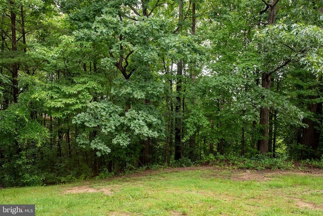 5122 Redbud Rd, Fredericksburg, VA 22407 - view of woods