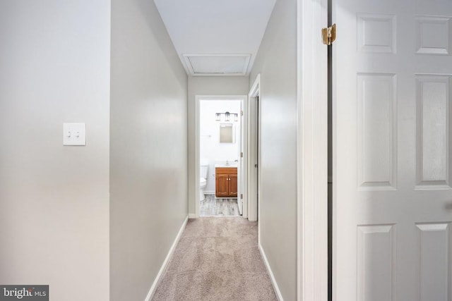 5122 Redbud Rd, Fredericksburg, VA 22407 - corridor featuring carpet floors and baseboards